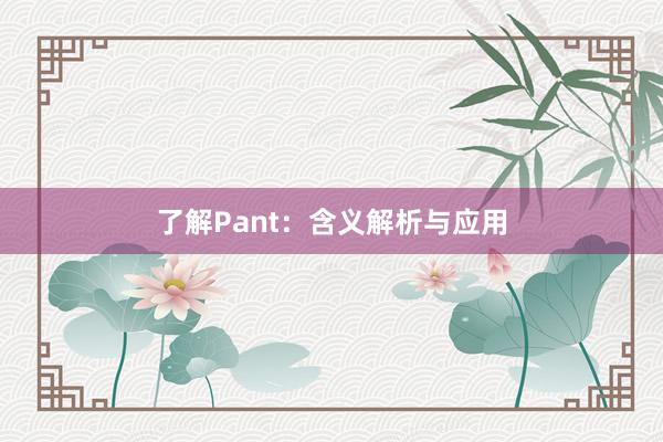 了解Pant：含义解析与应用